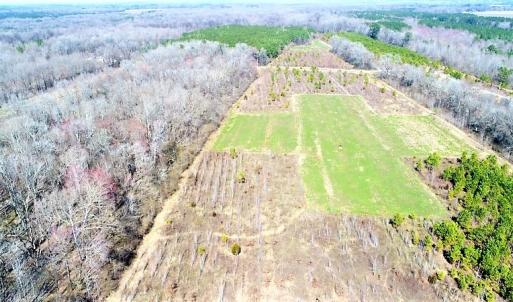 Photo #18 of SOLD property in 1480 Occoneechee Neck Road, Jackson, NC 268.0 acres