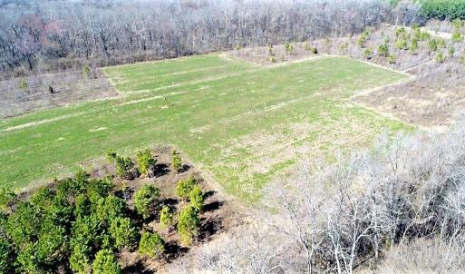 Photo #20 of SOLD property in 1480 Occoneechee Neck Road, Jackson, NC 268.0 acres