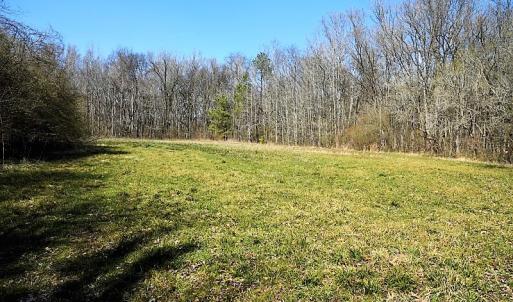 Photo #24 of SOLD property in 1480 Occoneechee Neck Road, Jackson, NC 268.0 acres