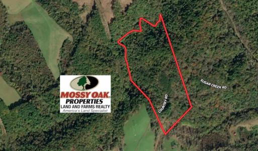 Photo #1 of 955 Country Rd., Austinville, VA 27.0 acres