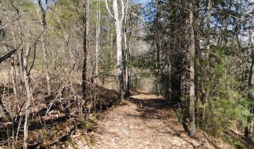 Photo #8 of 955 Country Rd., Austinville, VA 27.0 acres