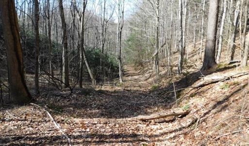 Photo #9 of 955 Country Rd., Austinville, VA 27.0 acres