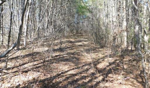 Photo #13 of 955 Country Rd., Austinville, VA 27.0 acres