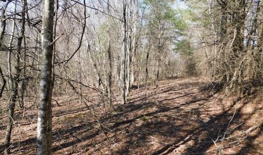 Photo #15 of 955 Country Rd., Austinville, VA 27.0 acres