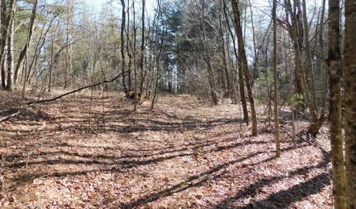 Photo #18 of 955 Country Rd., Austinville, VA 27.0 acres