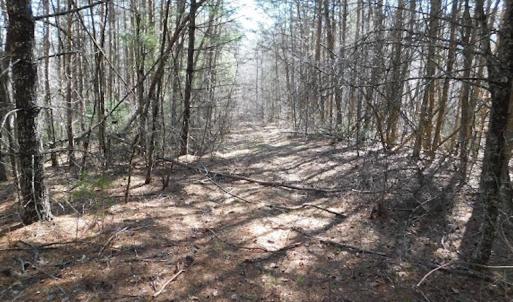 Photo #19 of 955 Country Rd., Austinville, VA 27.0 acres