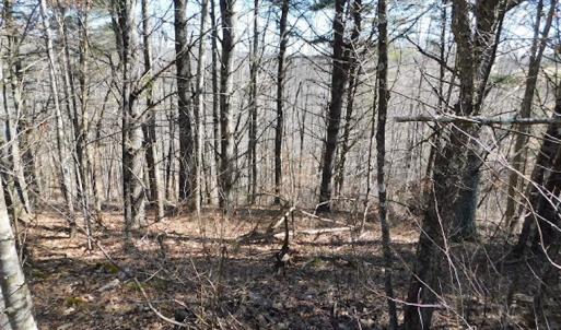 Photo #3 of 955 Country Rd., Austinville, VA 27.0 acres