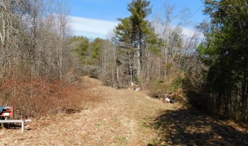 Photo #4 of 955 Country Rd., Austinville, VA 27.0 acres