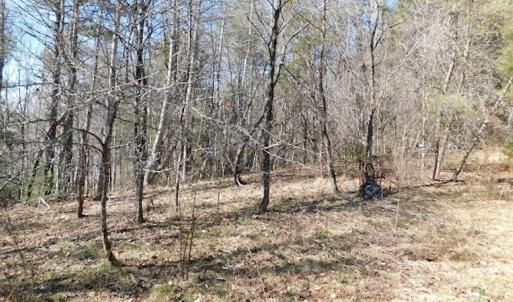Photo #7 of 955 Country Rd., Austinville, VA 27.0 acres