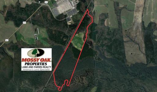 Photo #1 of SOLD property in Off Berrywood Lane , Whitakers , NC 147.0 acres