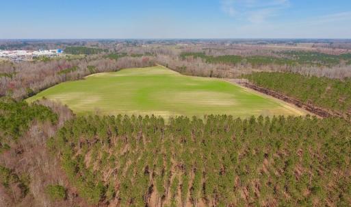 Photo #3 of SOLD property in Off Berrywood Lane , Whitakers , NC 147.0 acres