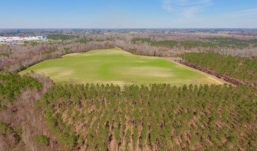 Photo #3 of SOLD property in Off Berrywood Lane , Whitakers , NC 147.0 acres
