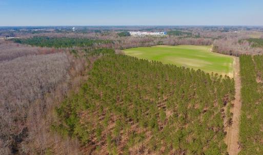 Photo #12 of SOLD property in Off Berrywood Lane , Whitakers , NC 147.0 acres