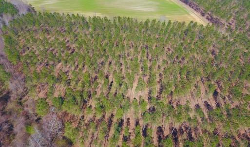 Photo #13 of SOLD property in Off Berrywood Lane , Whitakers , NC 147.0 acres