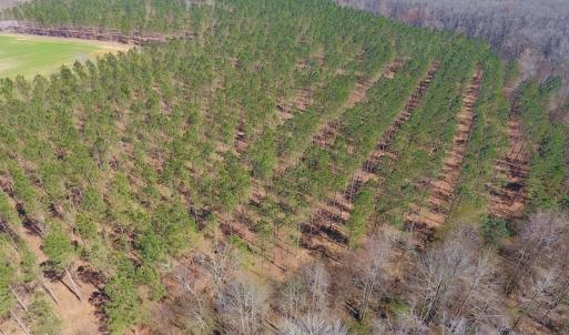 Photo #14 of SOLD property in Off Berrywood Lane , Whitakers , NC 147.0 acres