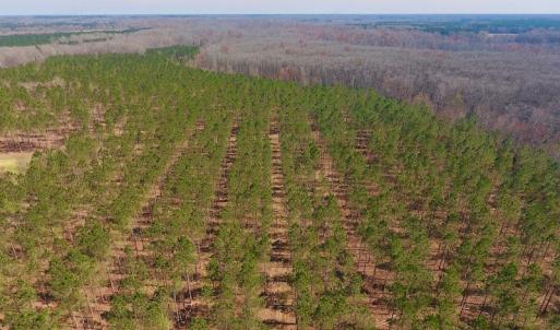Photo #15 of SOLD property in Off Berrywood Lane , Whitakers , NC 147.0 acres
