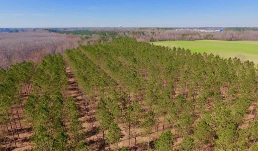 Photo #16 of SOLD property in Off Berrywood Lane , Whitakers , NC 147.0 acres