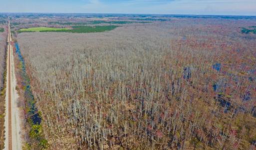 Photo #19 of SOLD property in Off Berrywood Lane , Whitakers , NC 147.0 acres