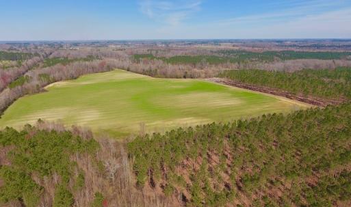 Photo #4 of SOLD property in Off Berrywood Lane , Whitakers , NC 147.0 acres