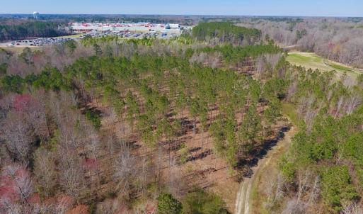 Photo #21 of SOLD property in Off Berrywood Lane , Whitakers , NC 147.0 acres