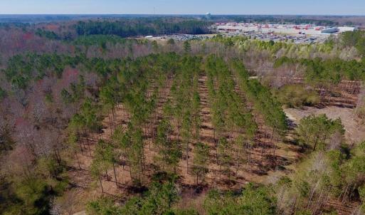 Photo #22 of SOLD property in Off Berrywood Lane , Whitakers , NC 147.0 acres