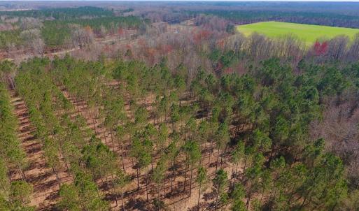 Photo #23 of SOLD property in Off Berrywood Lane , Whitakers , NC 147.0 acres