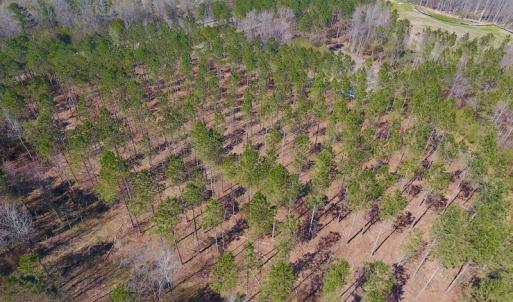 Photo #24 of SOLD property in Off Berrywood Lane , Whitakers , NC 147.0 acres