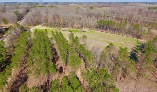 Photo #25 of SOLD property in Off Berrywood Lane , Whitakers , NC 147.0 acres