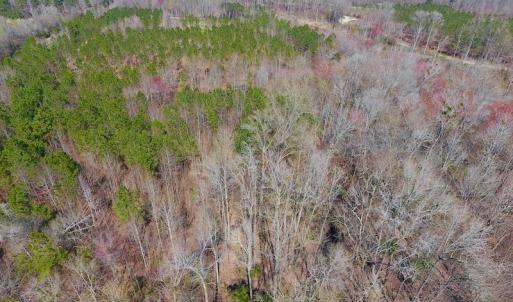 Photo #28 of SOLD property in Off Berrywood Lane , Whitakers , NC 147.0 acres