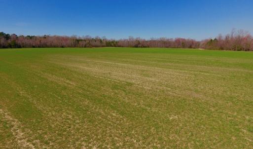 Photo #29 of SOLD property in Off Berrywood Lane , Whitakers , NC 147.0 acres