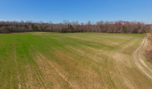 Photo #30 of SOLD property in Off Berrywood Lane , Whitakers , NC 147.0 acres