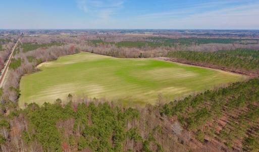 Photo #5 of SOLD property in Off Berrywood Lane , Whitakers , NC 147.0 acres