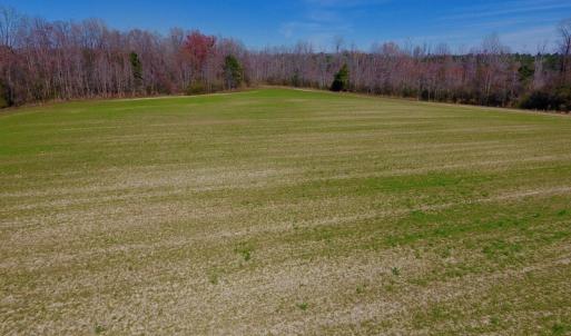 Photo #31 of SOLD property in Off Berrywood Lane , Whitakers , NC 147.0 acres