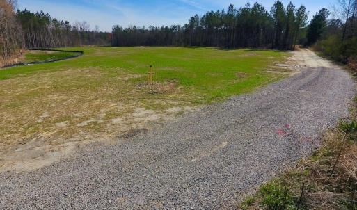 Photo #32 of SOLD property in Off Berrywood Lane , Whitakers , NC 147.0 acres
