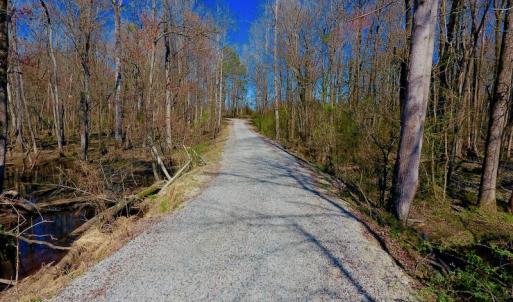 Photo #35 of SOLD property in Off Berrywood Lane , Whitakers , NC 147.0 acres