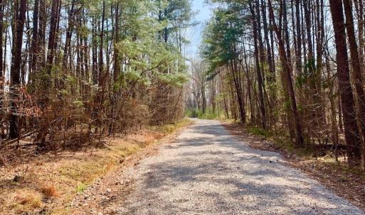 Photo #36 of SOLD property in Off Berrywood Lane , Whitakers , NC 147.0 acres