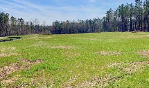 Photo #37 of SOLD property in Off Berrywood Lane , Whitakers , NC 147.0 acres