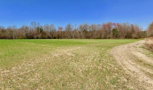 Photo #39 of SOLD property in Off Berrywood Lane , Whitakers , NC 147.0 acres