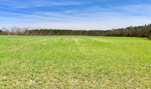 Photo #40 of SOLD property in Off Berrywood Lane , Whitakers , NC 147.0 acres