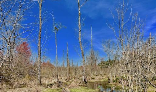 Photo #45 of SOLD property in Off Berrywood Lane , Whitakers , NC 147.0 acres