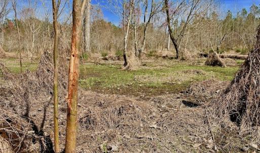 Photo #46 of SOLD property in Off Berrywood Lane , Whitakers , NC 147.0 acres