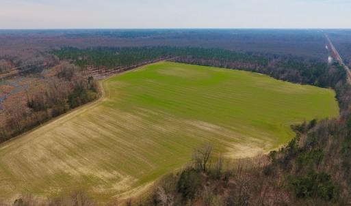 Photo #8 of SOLD property in Off Berrywood Lane , Whitakers , NC 147.0 acres