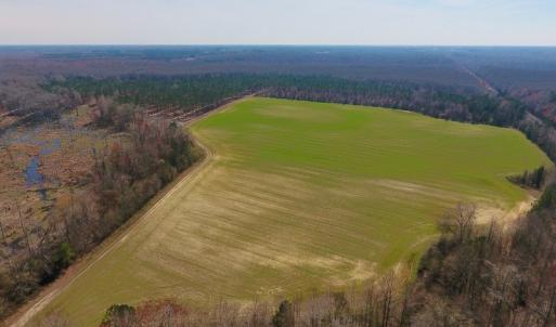 Photo #9 of SOLD property in Off Berrywood Lane , Whitakers , NC 147.0 acres