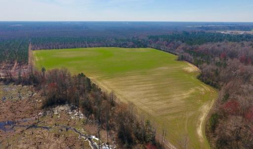 Photo #10 of SOLD property in Off Berrywood Lane , Whitakers , NC 147.0 acres