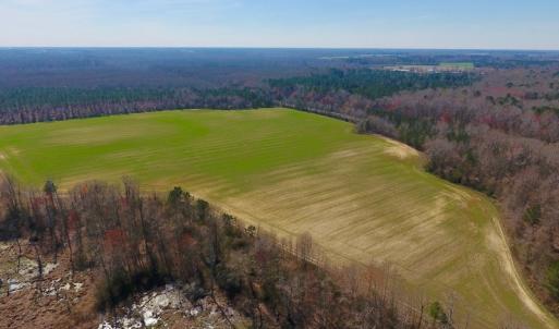 Photo #11 of SOLD property in Off Berrywood Lane , Whitakers , NC 147.0 acres