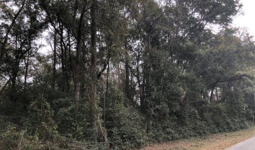 Photo #10 of Twin Oak Lane, North Myrtle Beach, SC 0.8 acres