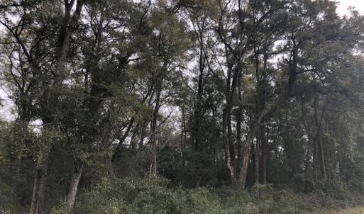 Photo #6 of Twin Oak Lane - Lot 2; Franklin Shores, North Myrtle Beach, SC 0.6 acres