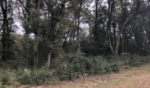 Photo #8 of Twin Oak Lane - Lot 2; Franklin Shores, North Myrtle Beach, SC 0.6 acres
