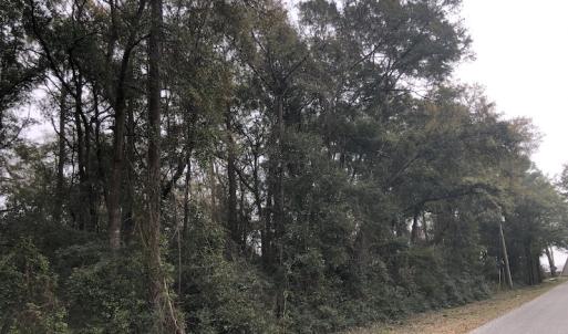 Photo #9 of Twin Oak Lane - Lot 2; Franklin Shores, North Myrtle Beach, SC 0.6 acres