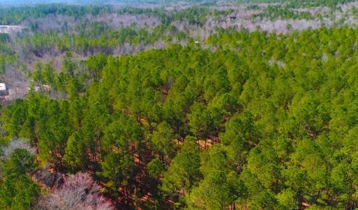 Photo #2 of SOLD property in Off Dragonfly Lane, Sanford, NC 10.1 acres